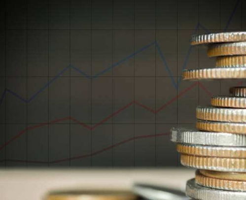 股权投资与偿债能力综合分析 性价比出众的投资策略